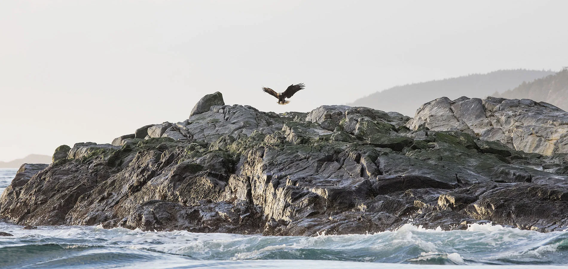 A bird takes off from a rocky outcrop over the water.