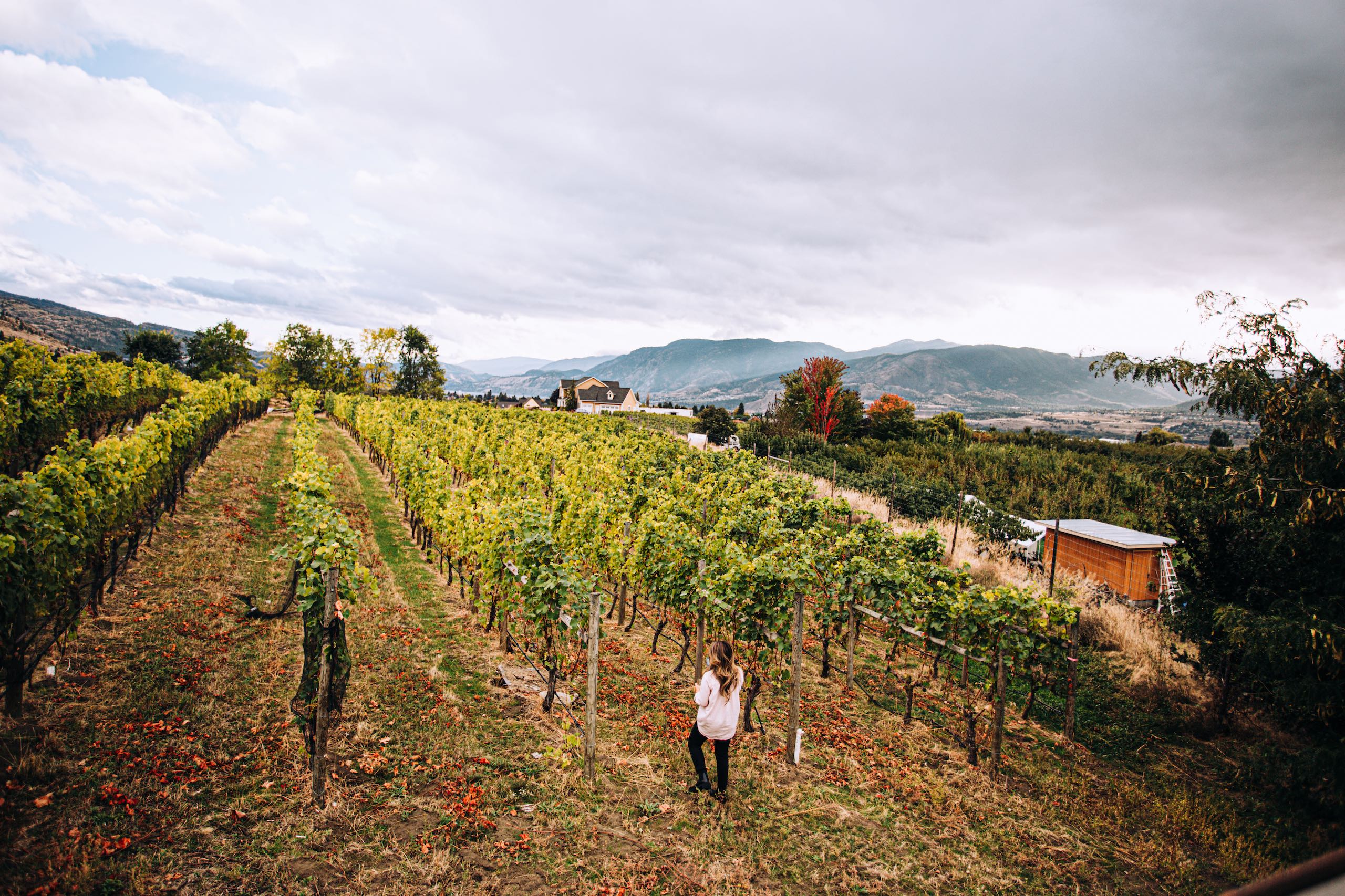 A woman walking through Three Sisters Winery