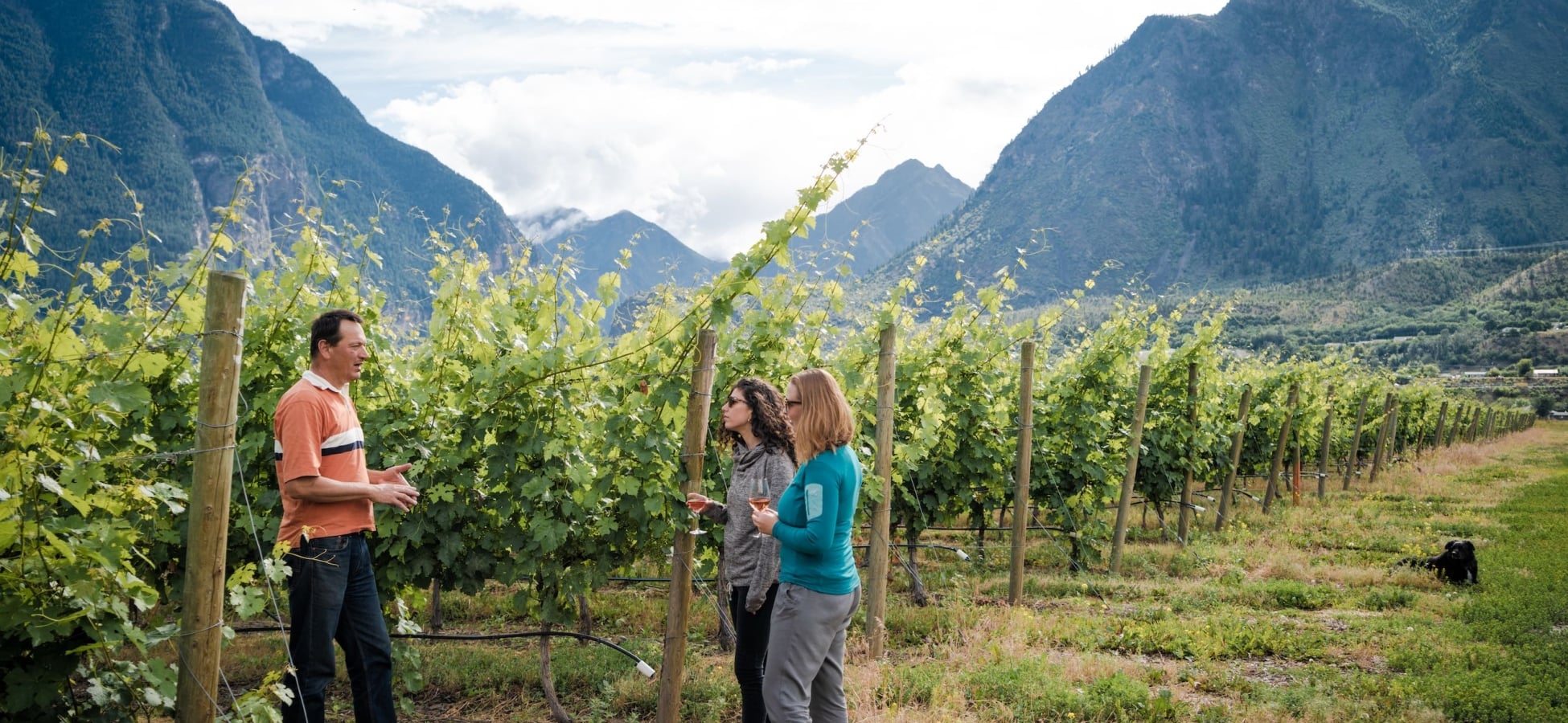 Fort Berens Estate Winery Tour & Tasting in the Vineyard