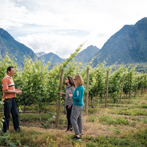 Fort Berens Estate Winery Tour & Tasting in the Vineyard