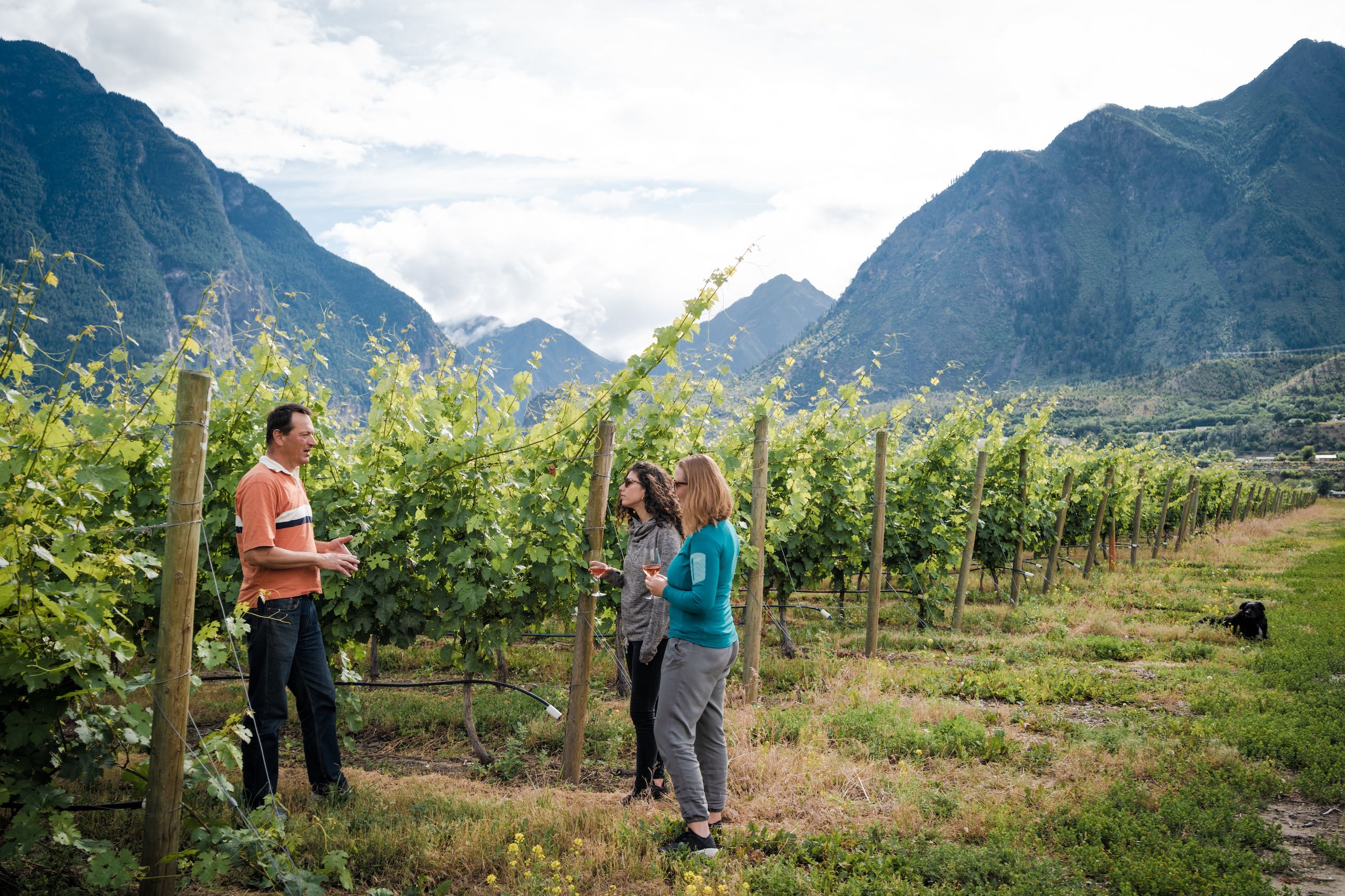 Fort Berens Estate Winery Tour & Tasting in the Vineyard