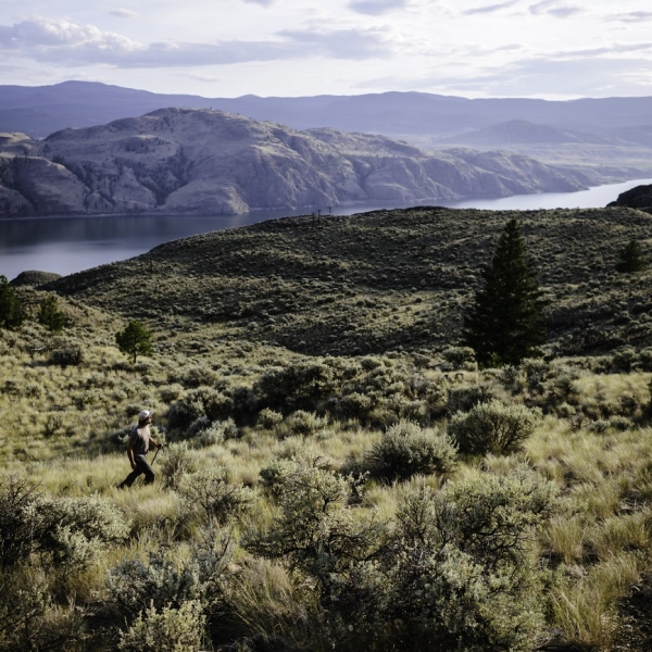 An aerial view of a figure walking through dramatic sagebrush bluffs cut by Kamloops Lake.