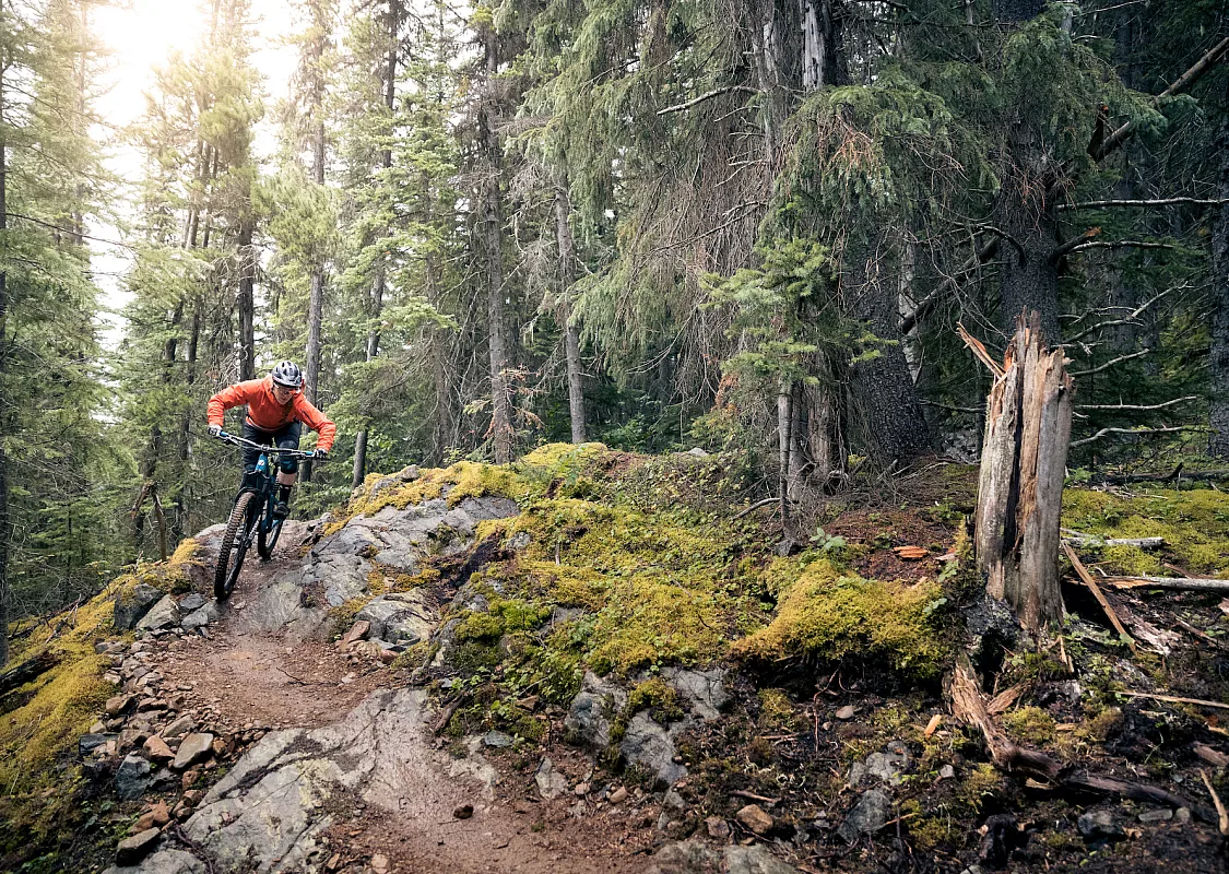 A man biking in the forest