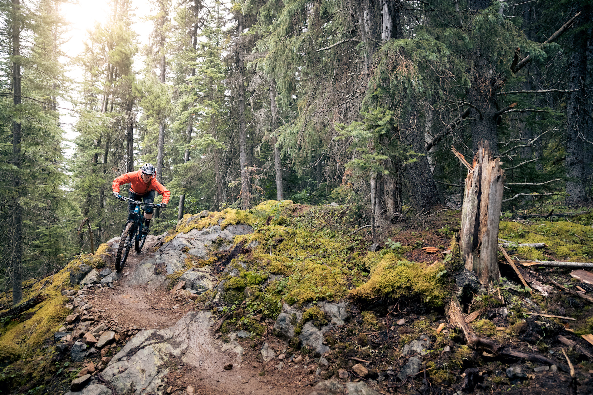 A man biking in the forest