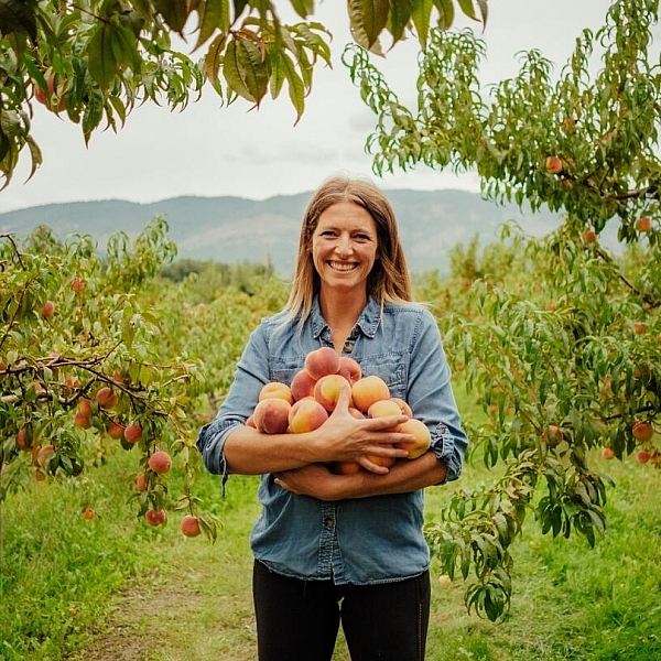 A person holding peaches in an orchard at Paynter's Fruit Market in West Kelowna. | Destination Canada