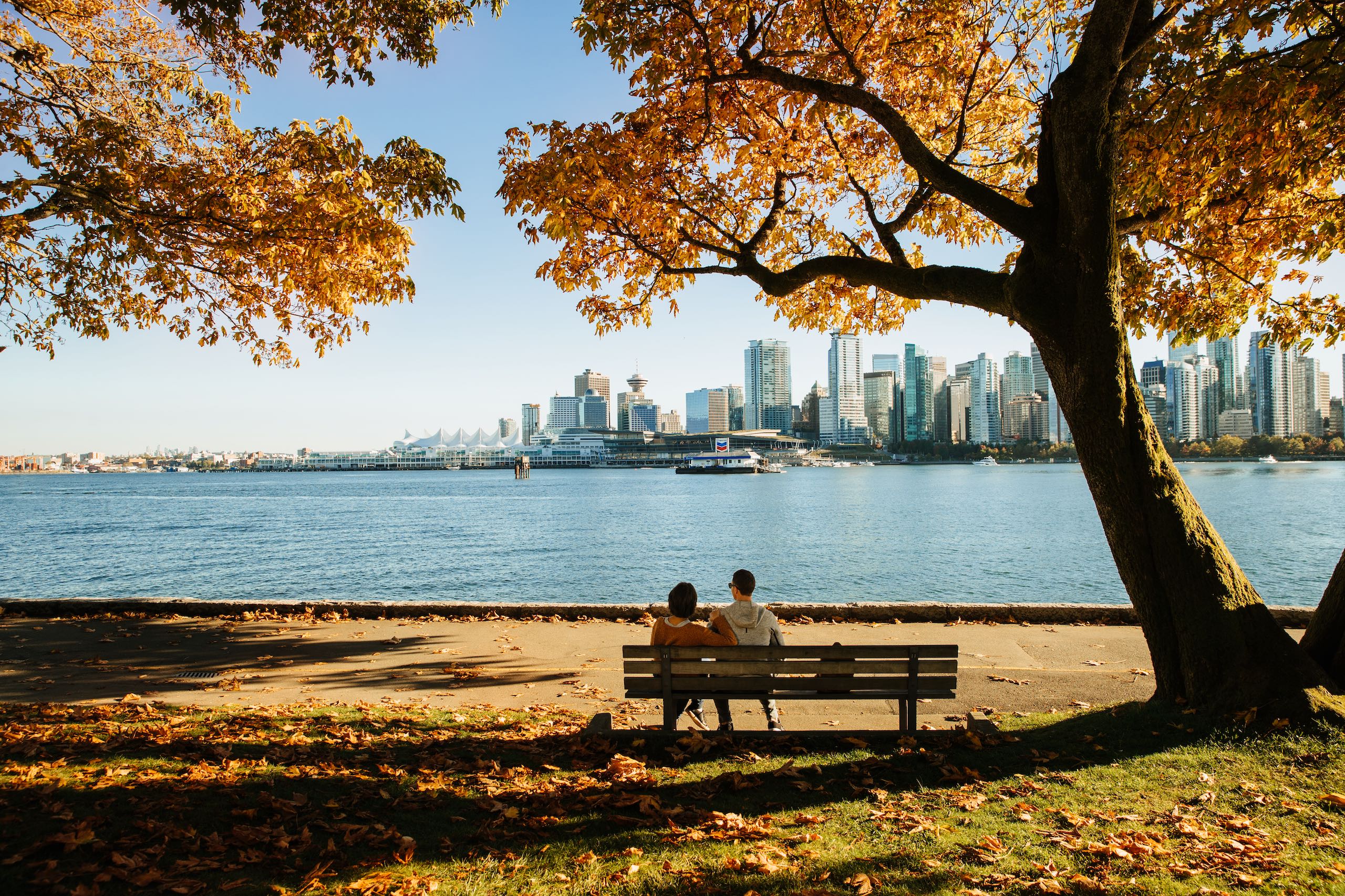 Couple sitting on bench on seawall in Stanley Park looking at downtown skyline in autumn