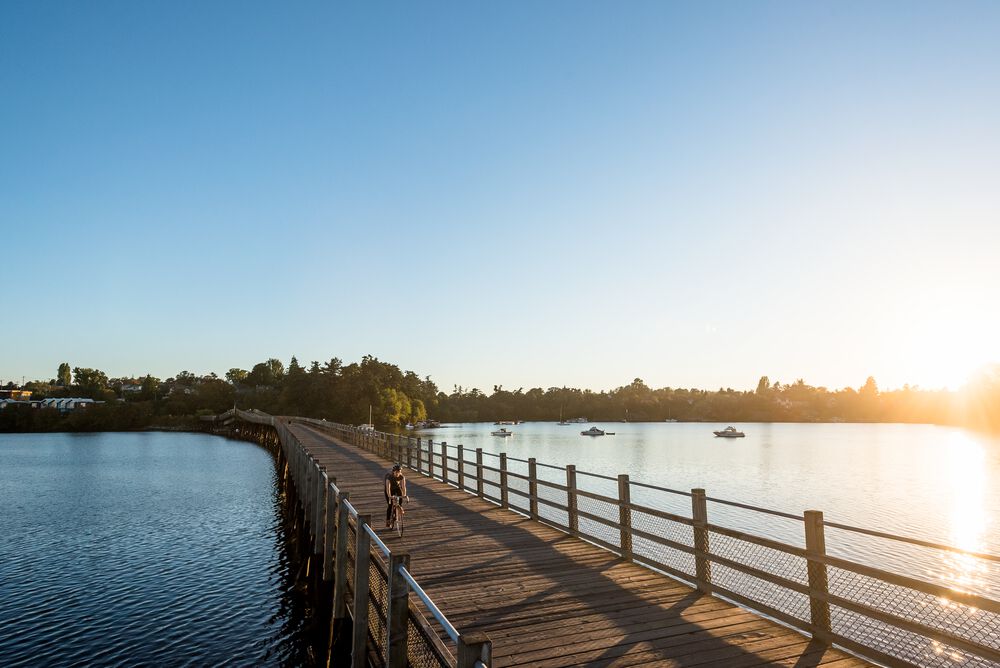 A path with a slatted railing on either side cuts across a body of water, with trees and boats visible in the distance.
