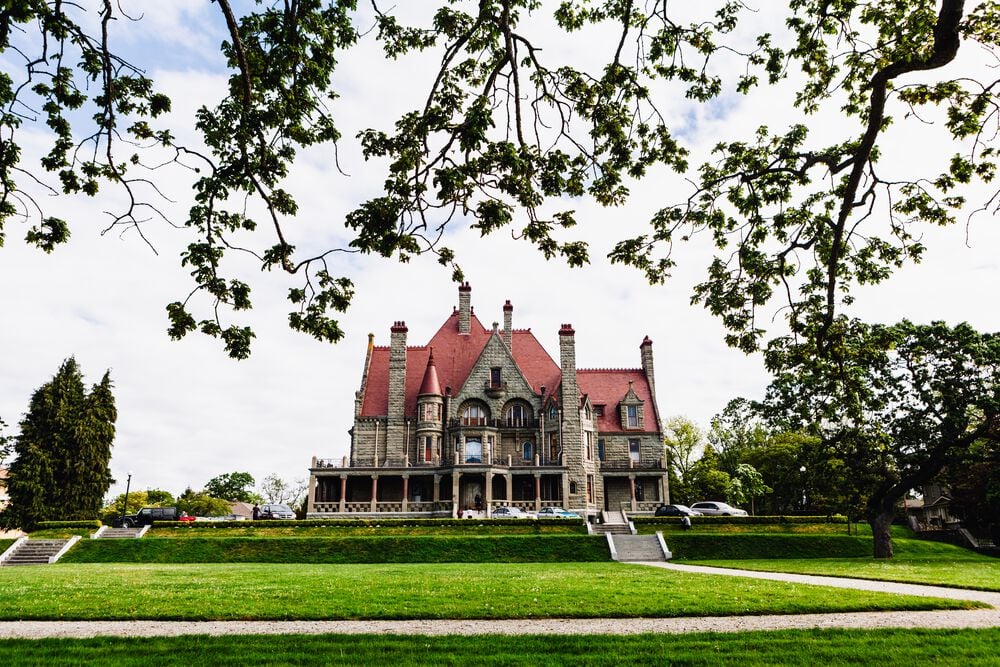 A grey stone castle with a red roof is surrounded by a green manicured lawn. There are trees beside the castle and branches at the top of the frame in the foreground.