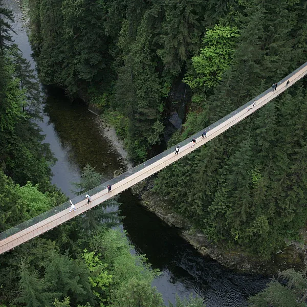 Capilano Suspension Bridge Park