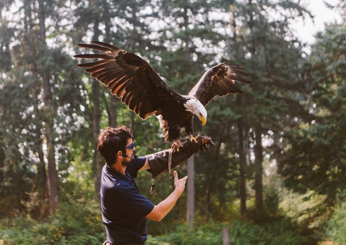 Pacific Northwest Raptors, Cowichan Valley