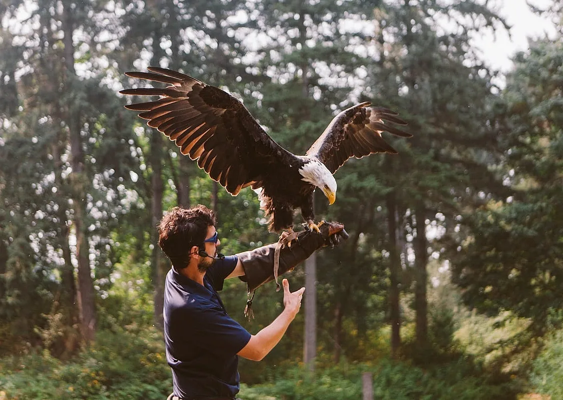 Pacific Northwest Raptors, Cowichan Valley