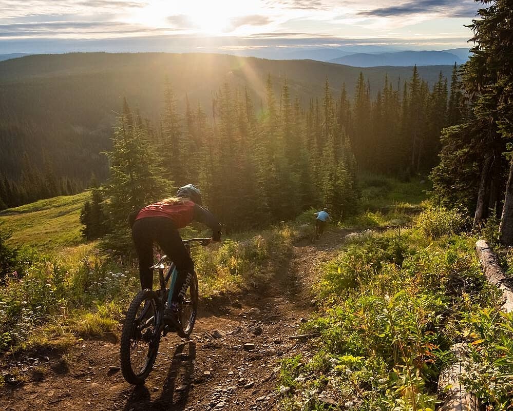Two mountain bikers ride away from the camera on an alpine dirt trail. They are in a clearing, heading into the trees.