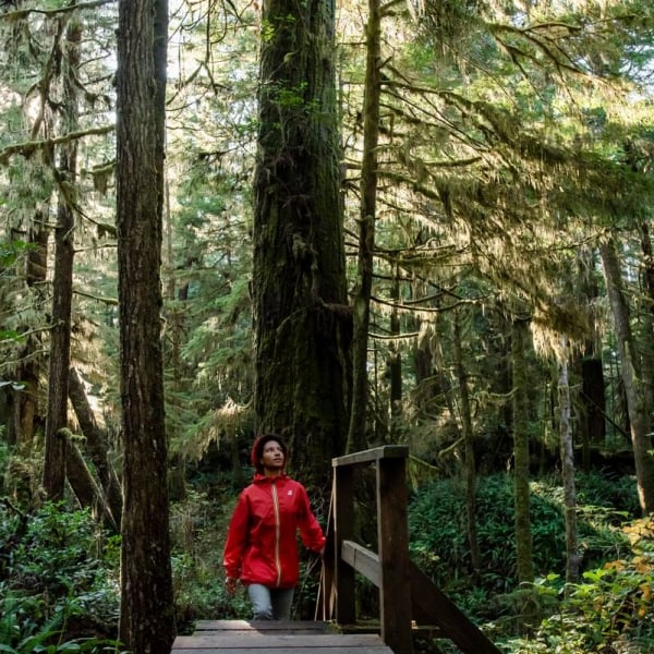 Sunlight filtering through the trees as a person in a red jacket walks up a wooden staircase along a boardwalk trail in the rainforest