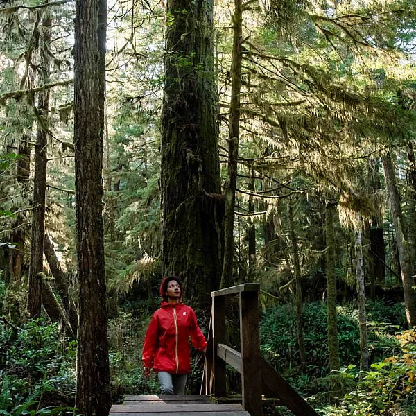 Sunlight filtering through the trees as a person in a red jacket walks up a wooden staircase along a boardwalk trail in the rainforest