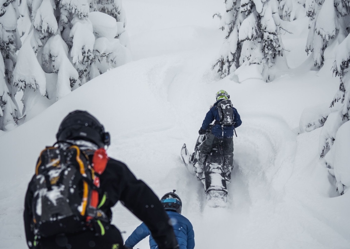 Two snowmobilers ride away from the camera through deep powder with snow-covered trees on either side.