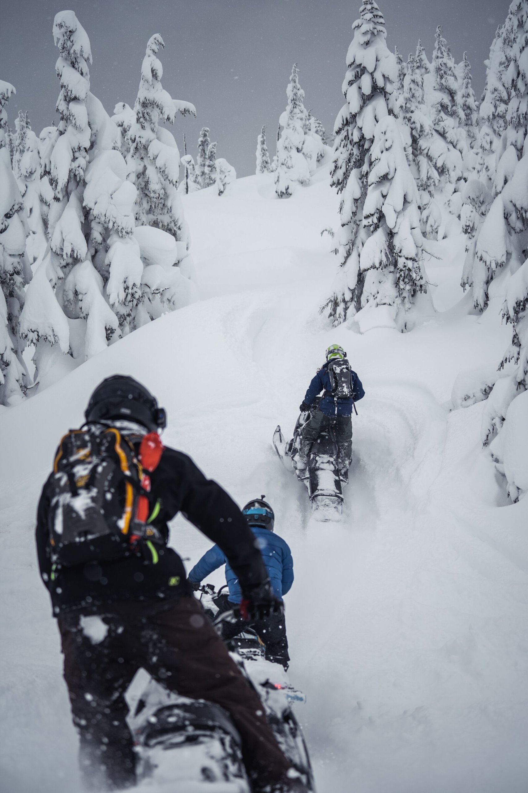 Two snowmobilers ride away from the camera through deep powder with snow-covered trees on either side.