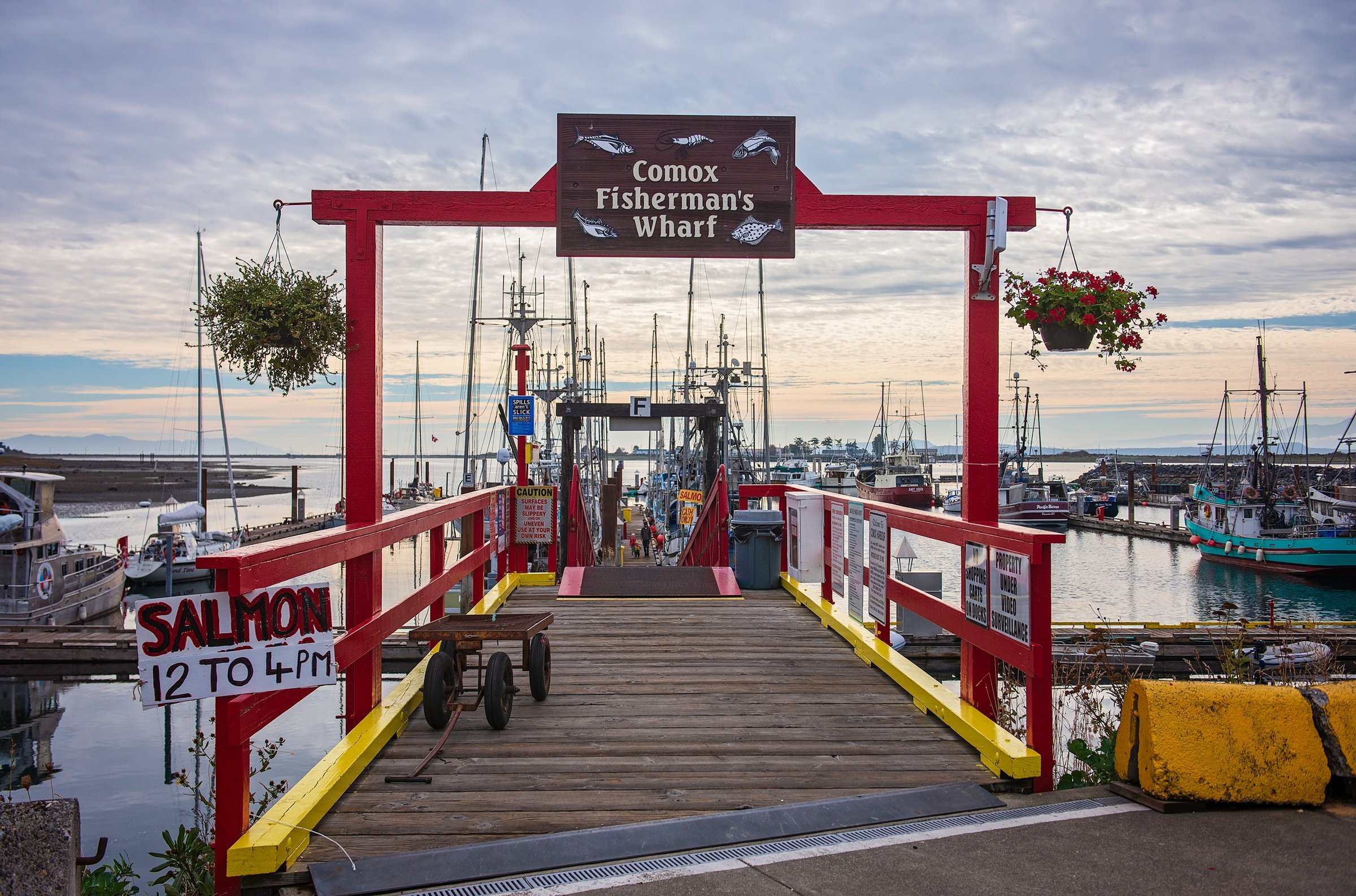 Brightly-coloured red and yellow archway and railing leading out to a dock lined with fishing vessels. A sign reads, 