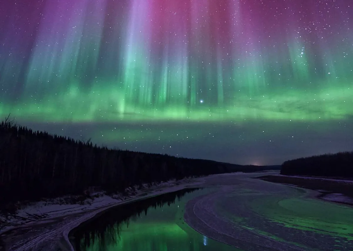 Un cielo oscuro y estrellado se ilumina con los vibrantes verdes y púrpuras de las auroras boreales.