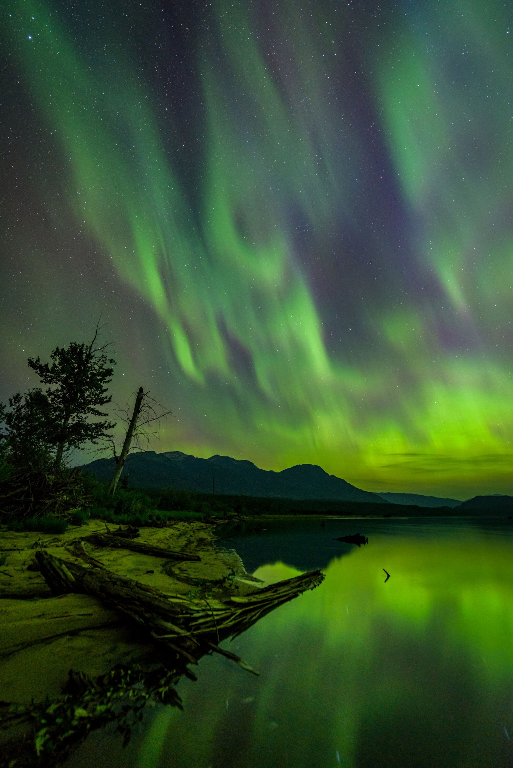 The northern lights flash green across the night sky, reflected in the water below. To the left is a rocky shore and a couple of trees.