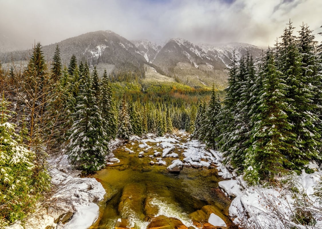 Snow-covered rocks stick out of a river that runs through a snowy forest with a mountainous backdrop.
