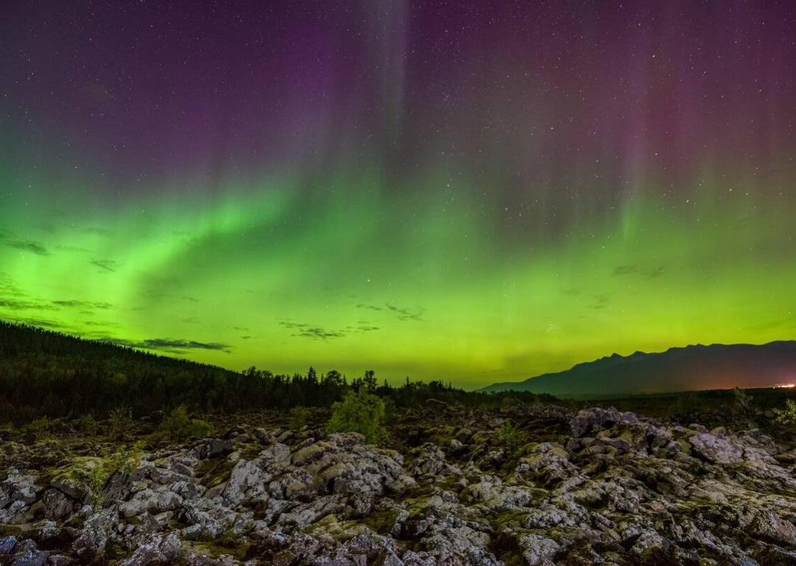 Die leuchtenden Grün- und Lilatöne der Nordlichter tanzen über einem vulkanischen Lavafeld.