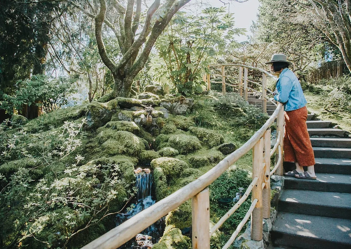 Woman in a blue shirt, rust-coloured pants and a hat stands against a railing on a staircase overlooking trees, shrubs and flowers