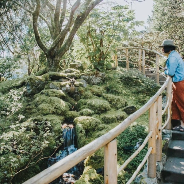 Woman in a blue shirt, rust-coloured pants and a hat stands against a railing on a staircase overlooking trees, shrubs and flowers