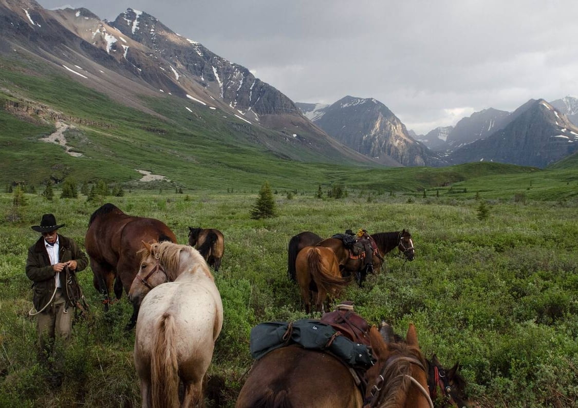 Una manada de caballos y un guía a caballo en una ladera rodeada de montañas.