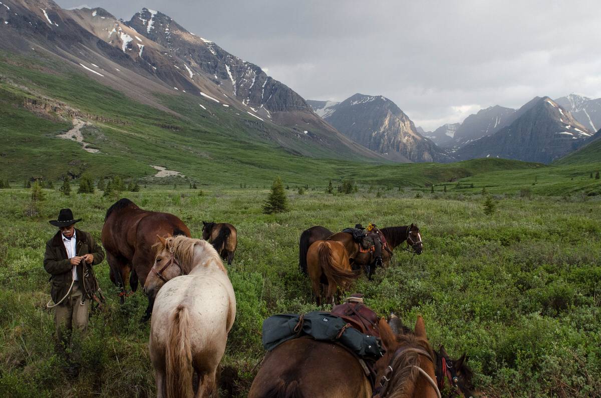 A herd of horses and horseback guide on a hillside surrounded by mountains.