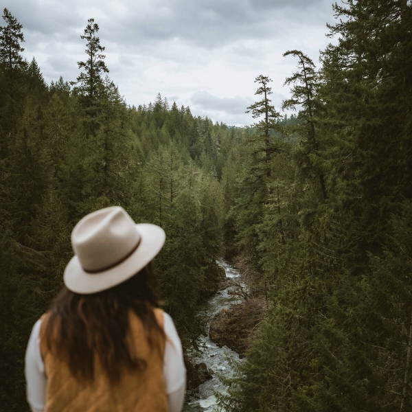 Walking along the Kinsol Trestle