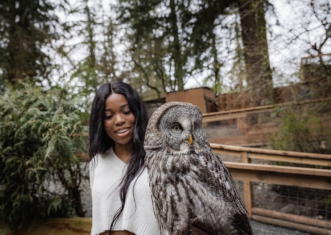 A woman holds an owl at The Raptors near Duncan. They are outside at an enclosure with walkways and trees surrounding them.