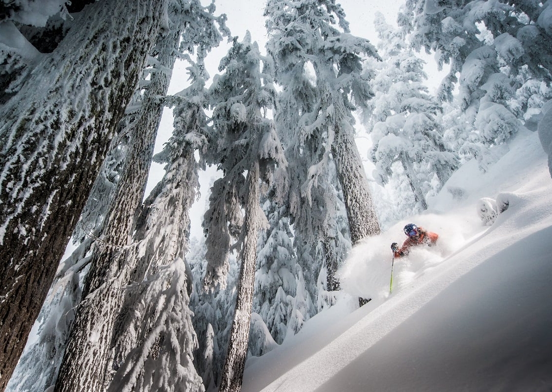 Whistler Blackcomb