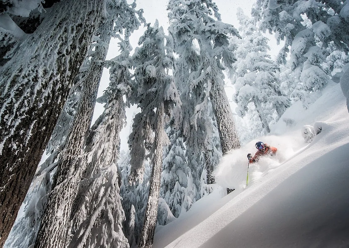 Whistler Blackcomb