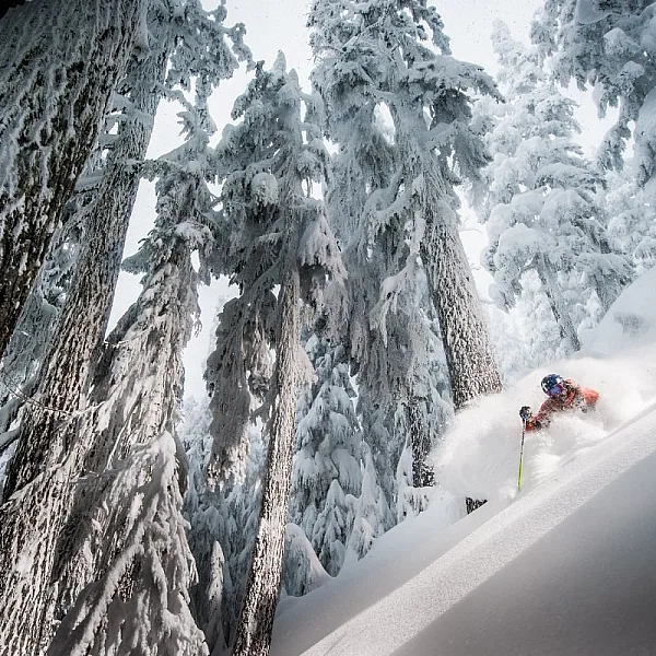 Whistler Blackcomb