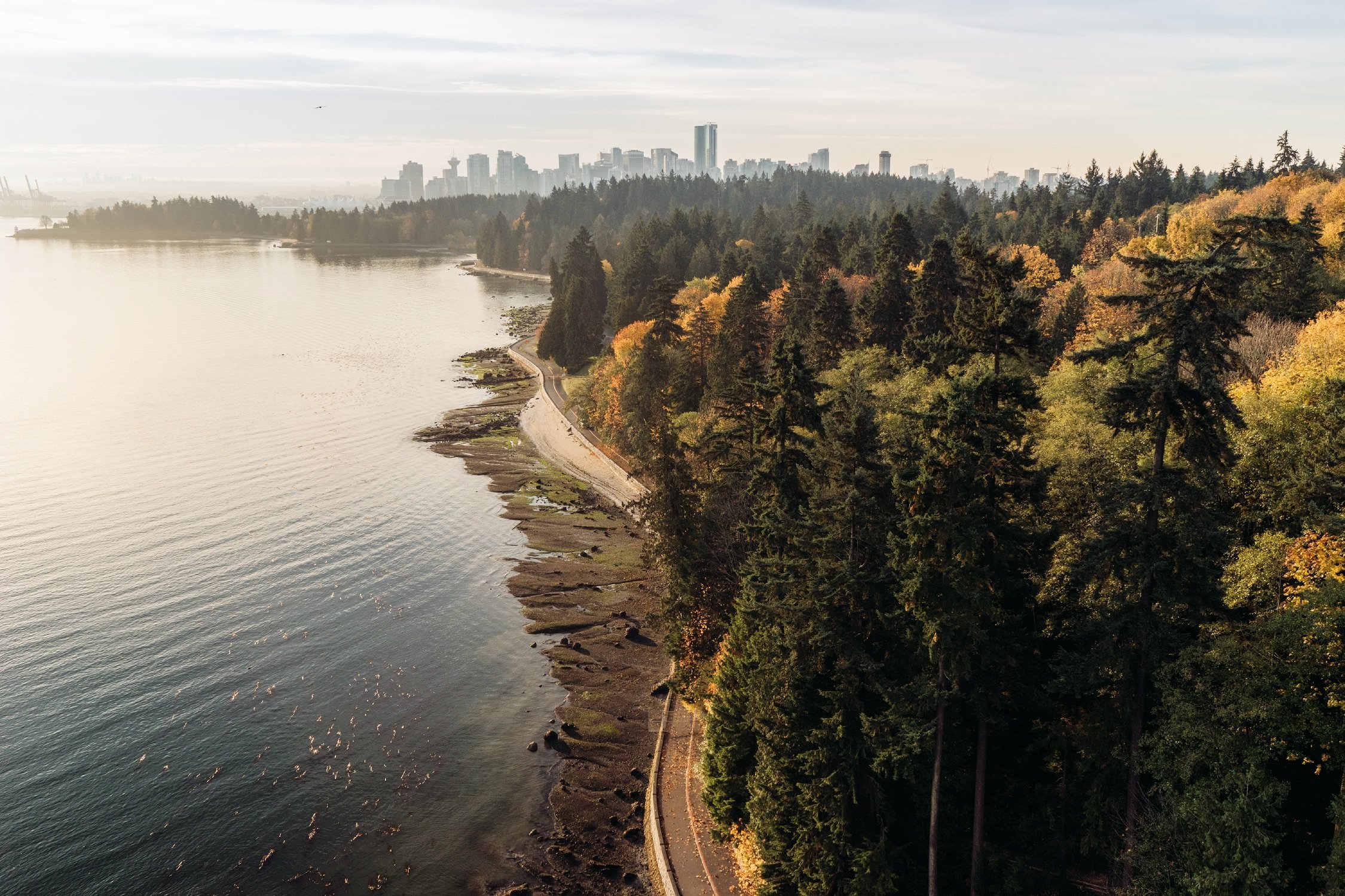 Stanley Park Seawall | Jordan Manley