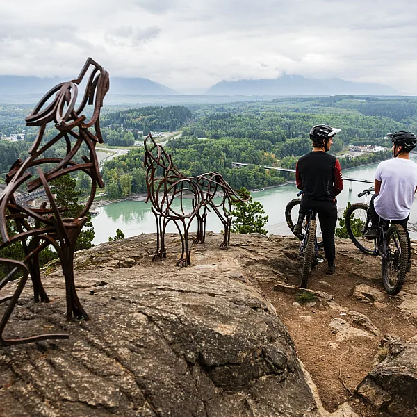 Mountain bikers stand at a lookout surrounded by iron statues of wolves and bears, taking in views of a snaking river and lush forest.