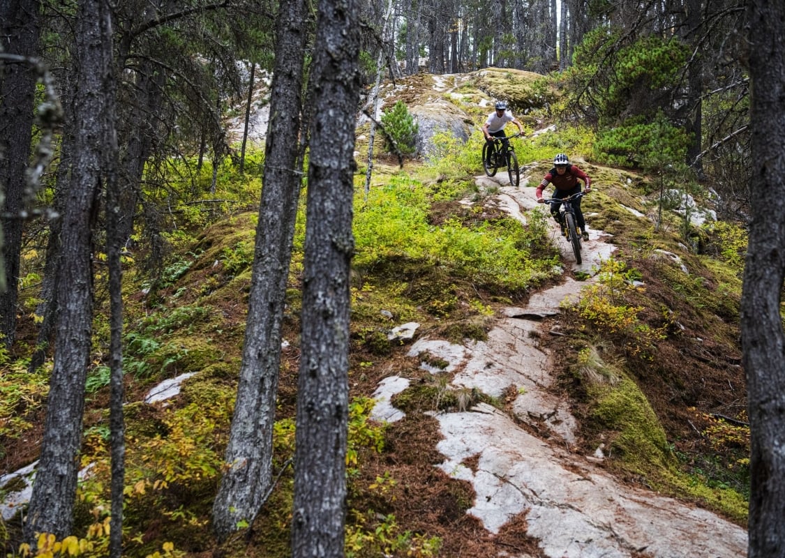 Dos ciclistas de montaña descienden por un sendero rocoso rodeado de musgo y bosque.