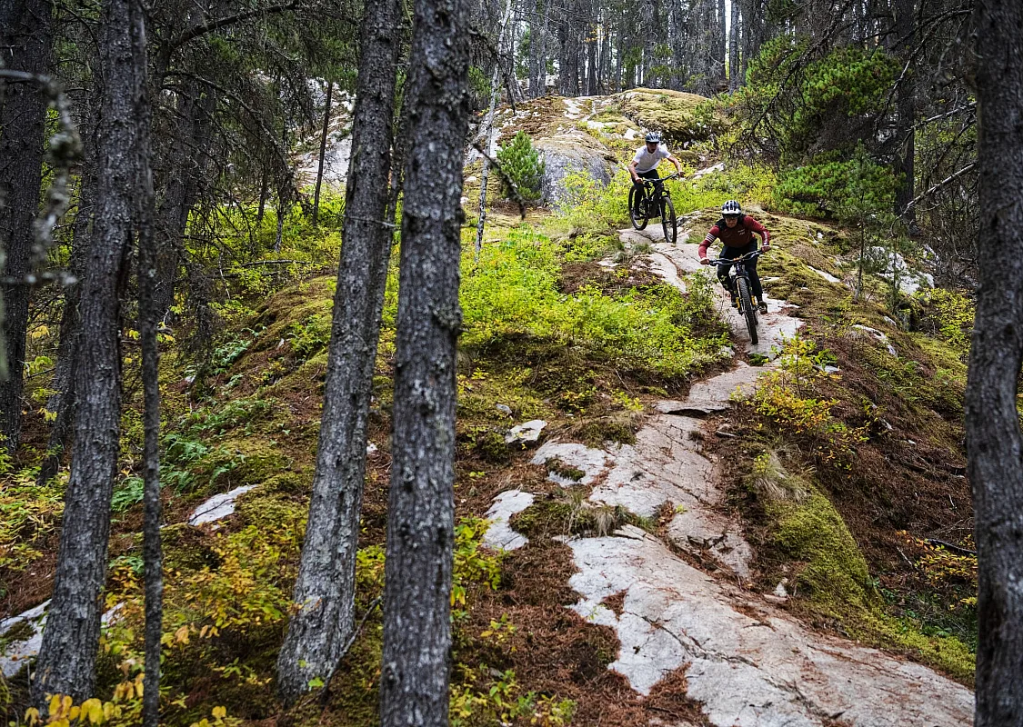 Two mountain bikers descending down a rocky trail surrounded by moss and forest.