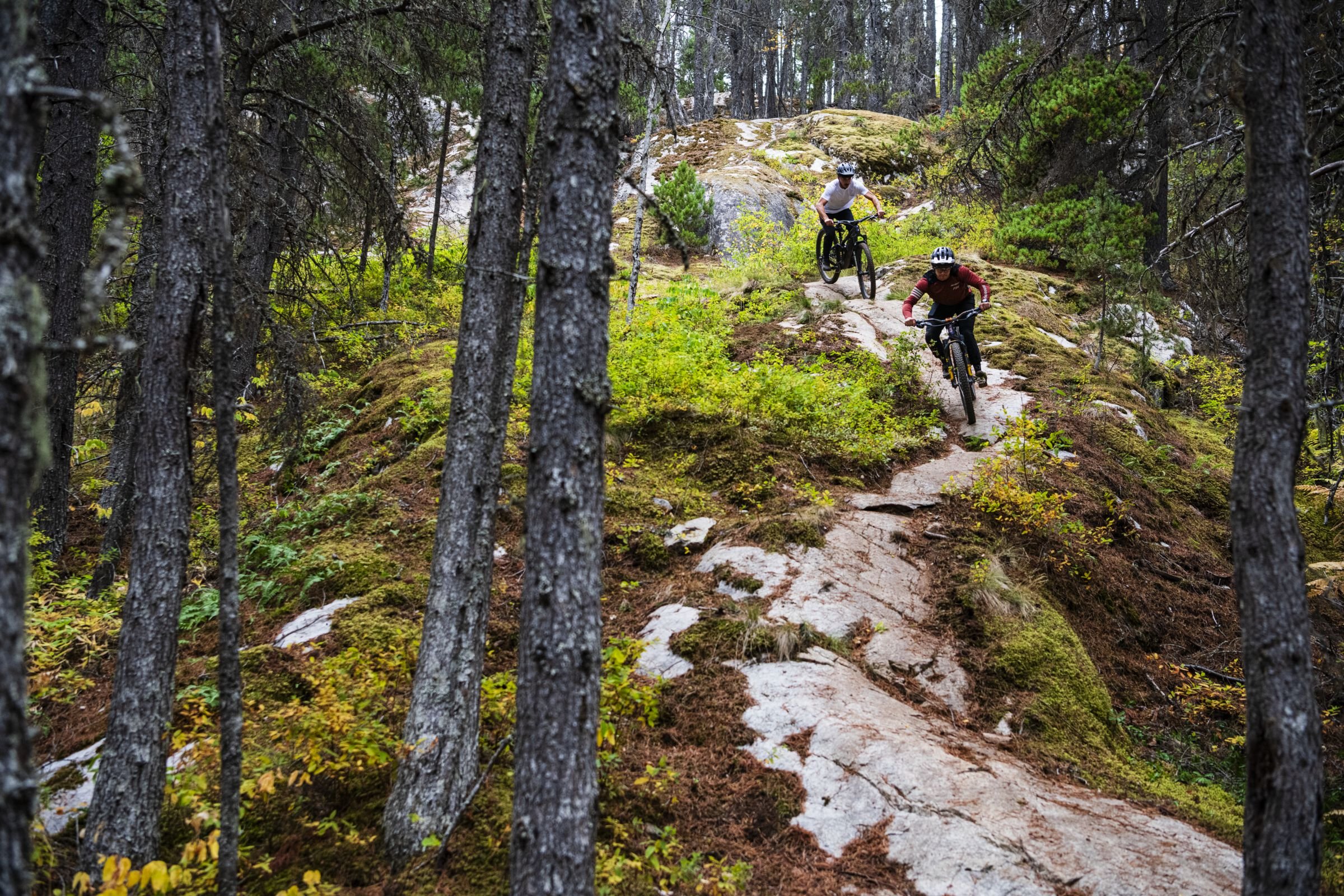 Two mountain bikers descending down a rocky trail surrounded by moss and forest.