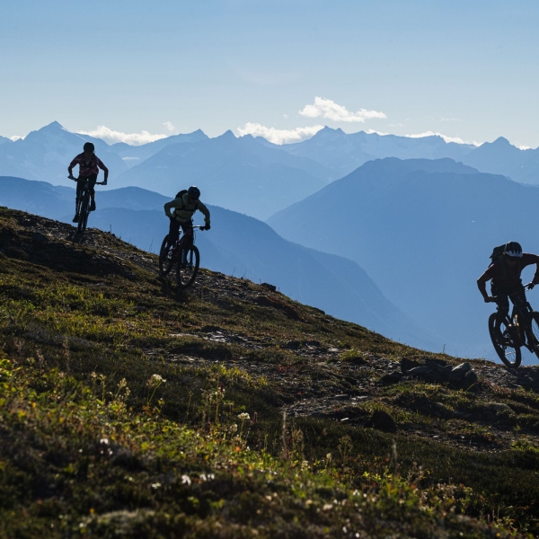 Tres ciclistas de montaña descienden por un sendero alpino con vegetación en primer plano y una vasta cordillera al fondo.