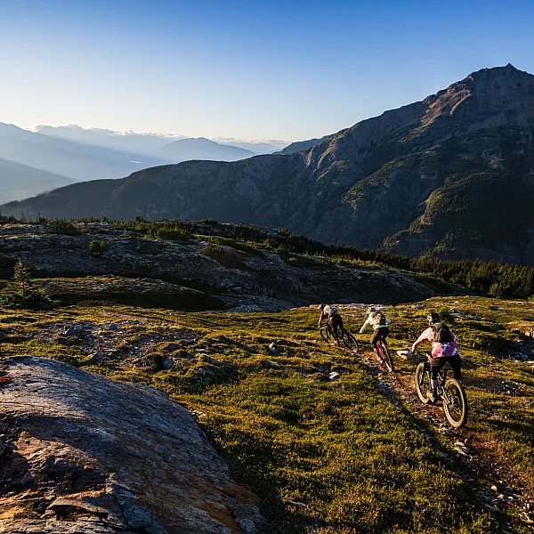 A group of mountain bikers rides through an alpine trail with green voliage and craggy mountains.