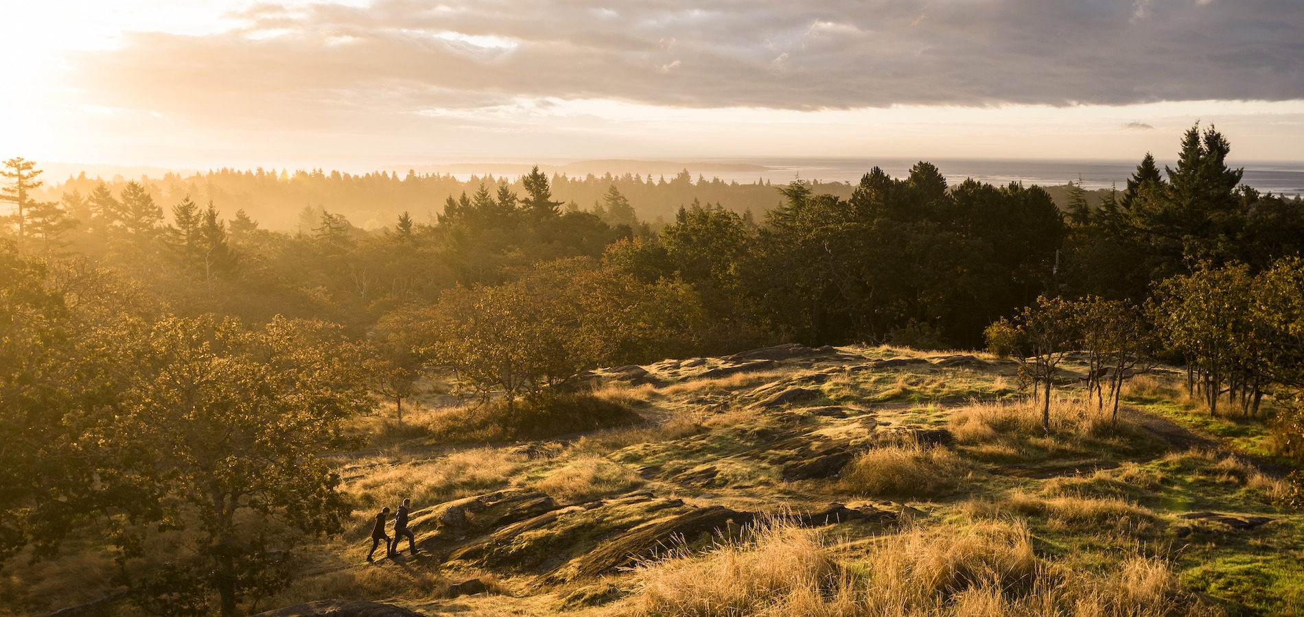 Two people hiking up Mount Tolmie in Victoria.