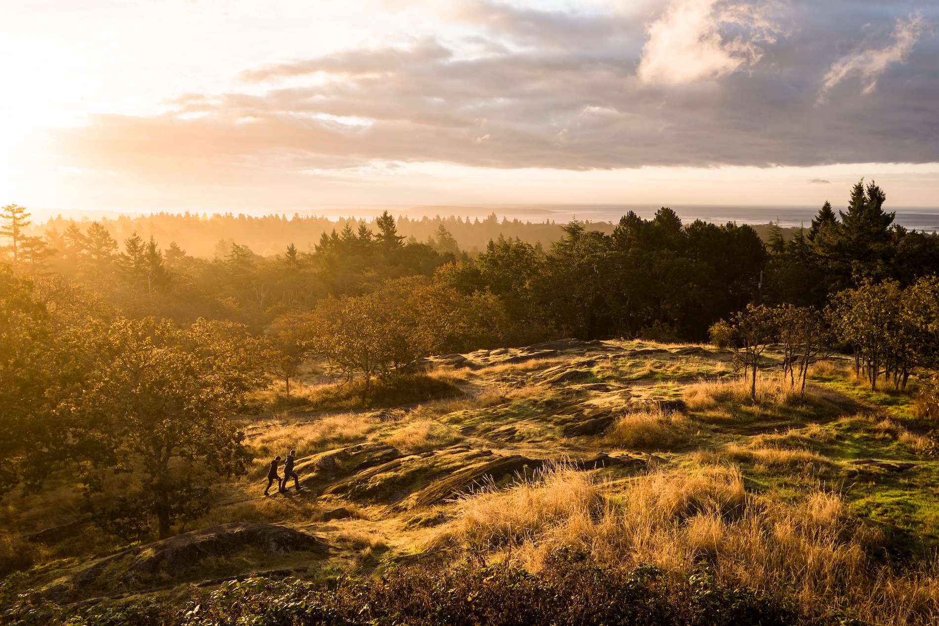 Two people hiking up Mount Tolmie in Victoria.