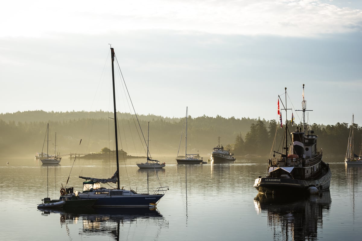 Boats off the coast in Salt Spring Island | Reuben Krabbe