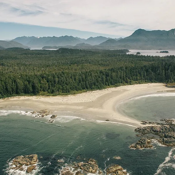 Aerial of ocean, coastline, beach, and forests in Clayoquot Sound