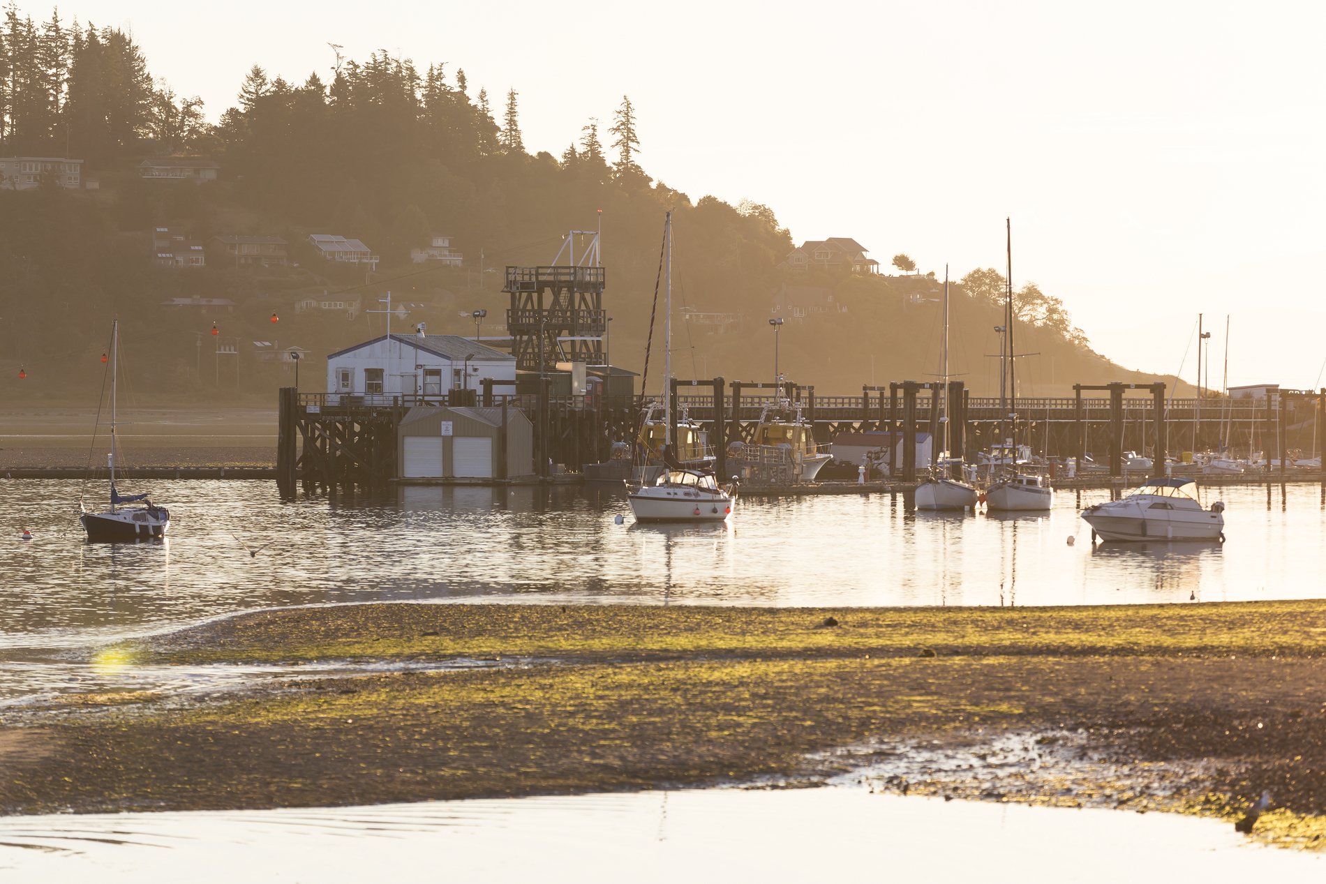Sunrise over a marina from Goose Spit in Comox
