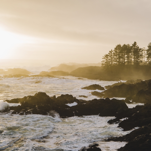 Sunrise at Wild Pacific Trail