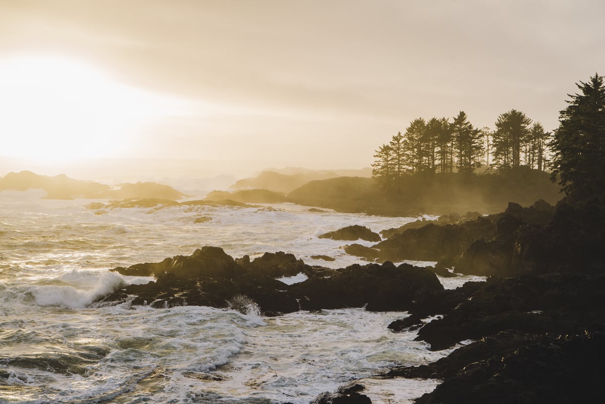 Sunrise at Wild Pacific Trail