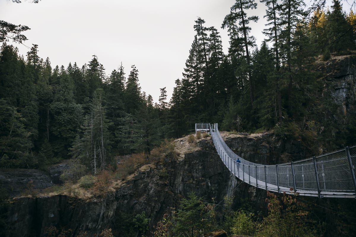 A person walks across a metal suspension bridge high above the forest floor at Elk Falls Provincial Park in Campbell River. The sun is setting. A rocky outcrop with trees is on the other side.