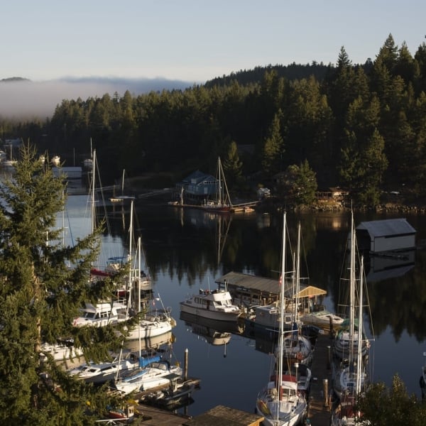 A serene marina nestled in a calm bay, filled with sailboats and yachts gently anchored along wooden docks. The surrounding landscape is lush with evergreen trees, and a light mist hovers over the water in the distance, creating a tranquil and peaceful atmosphere.